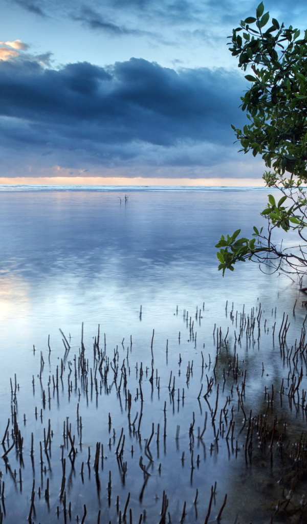 Темные облака над озером