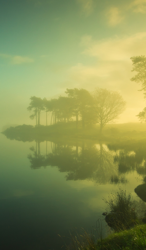 Туман на берегу озера