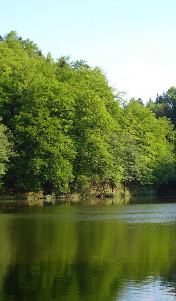 Лесной домик на берегу озера