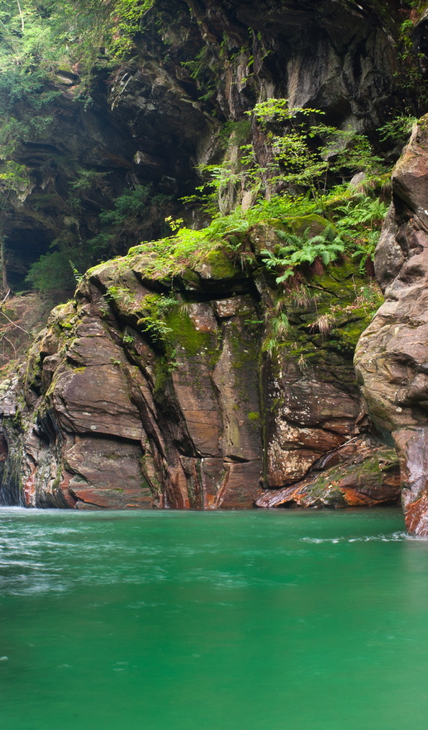 Зеленая вода в реке