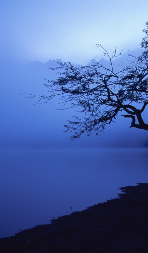 Озеро в синем тумане