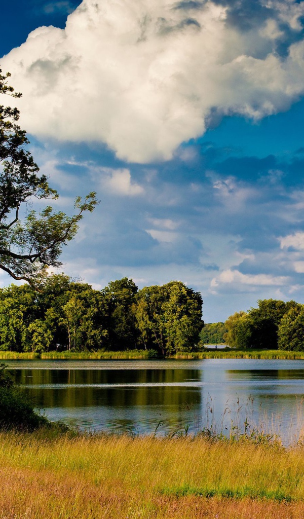 Озеро среди лугов