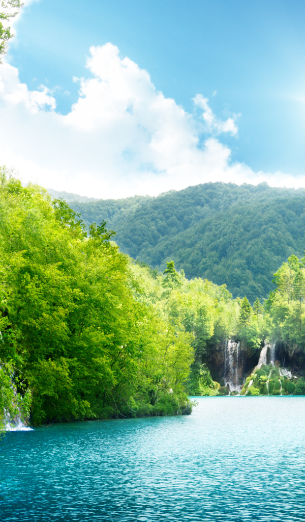 Озеро среди густого леса