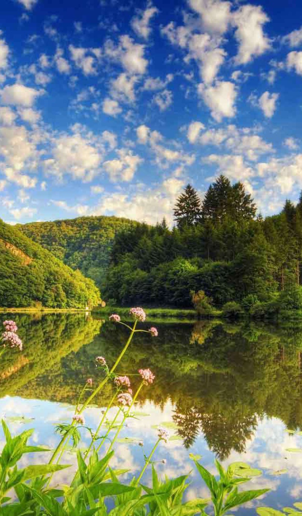 Озеро среди лесистых холмов