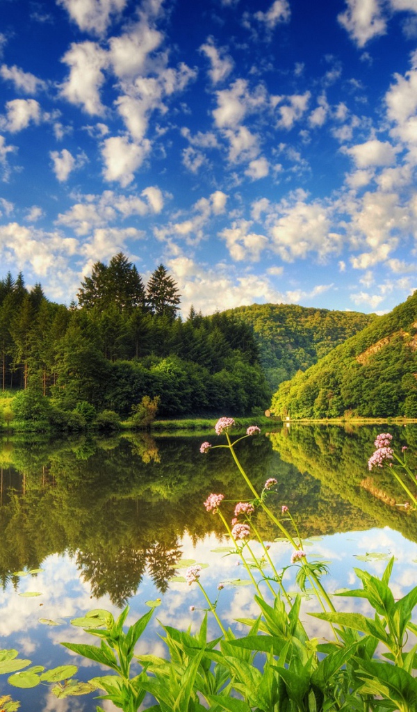 Озеро с чистой водой