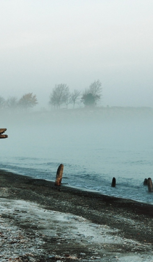 Утренний туман