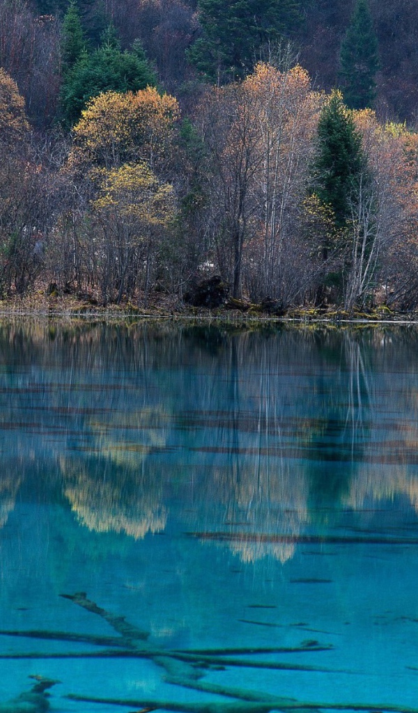 Национальный парк в Китае
