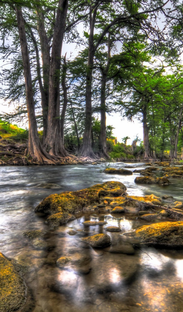 Природа вдоль реки