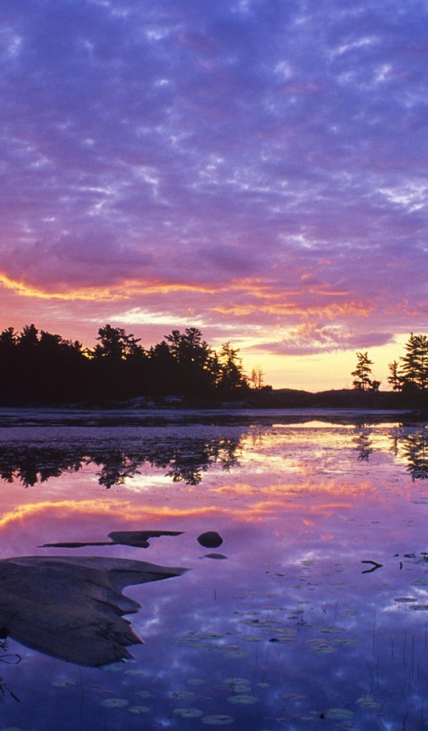 Заросшее озеро на закате