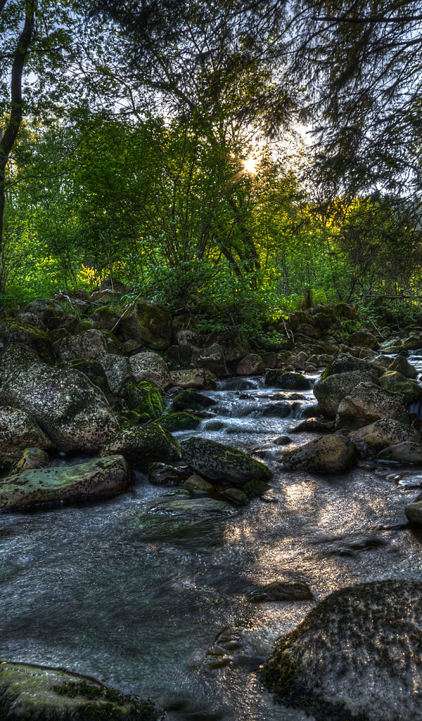 Река в Норвегии