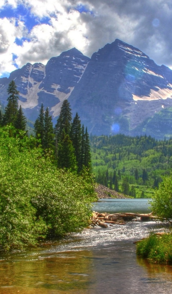 Река в зеленых зарослях