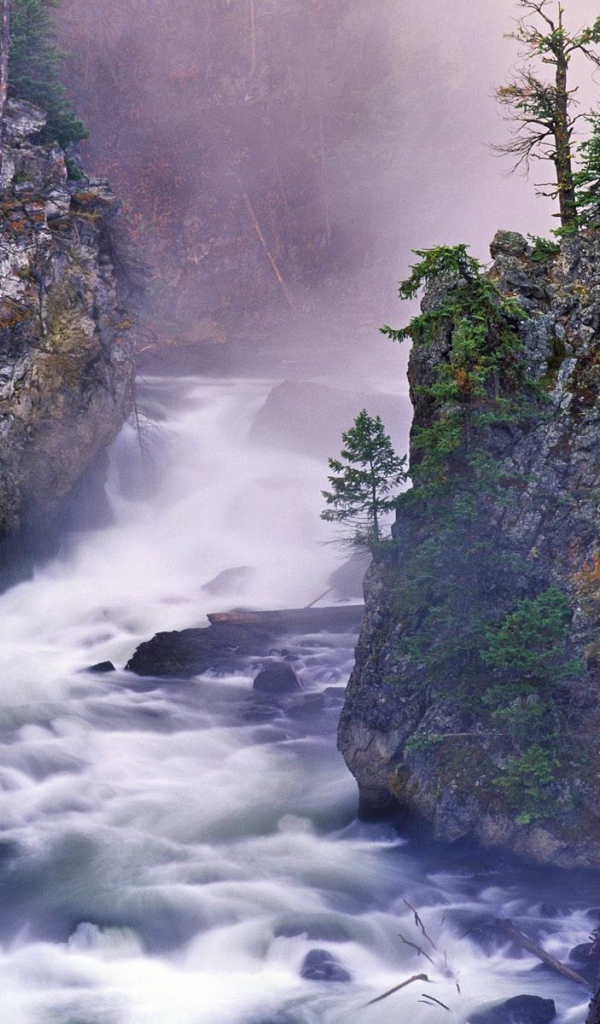 Бурная река в ущелье гор