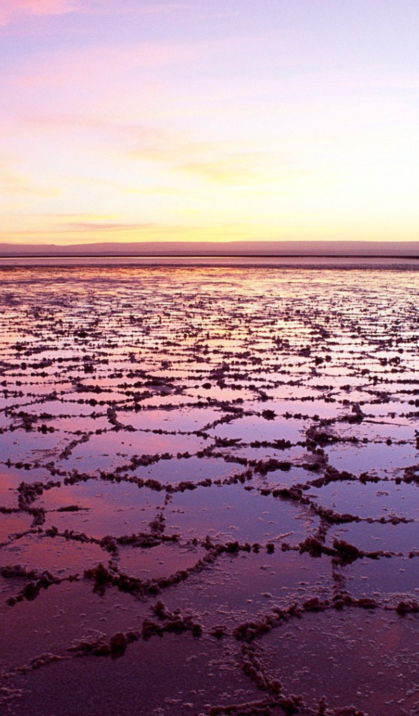 Соленое озеро в Чили 