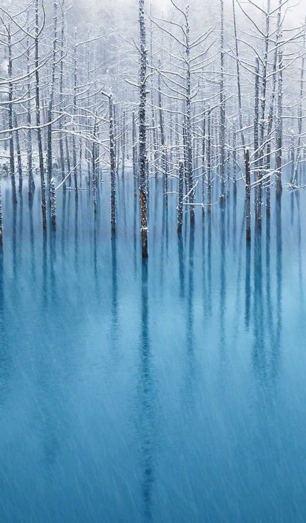 Пруд в снегу