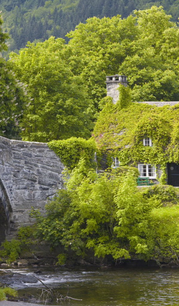 Каменный мост и дом