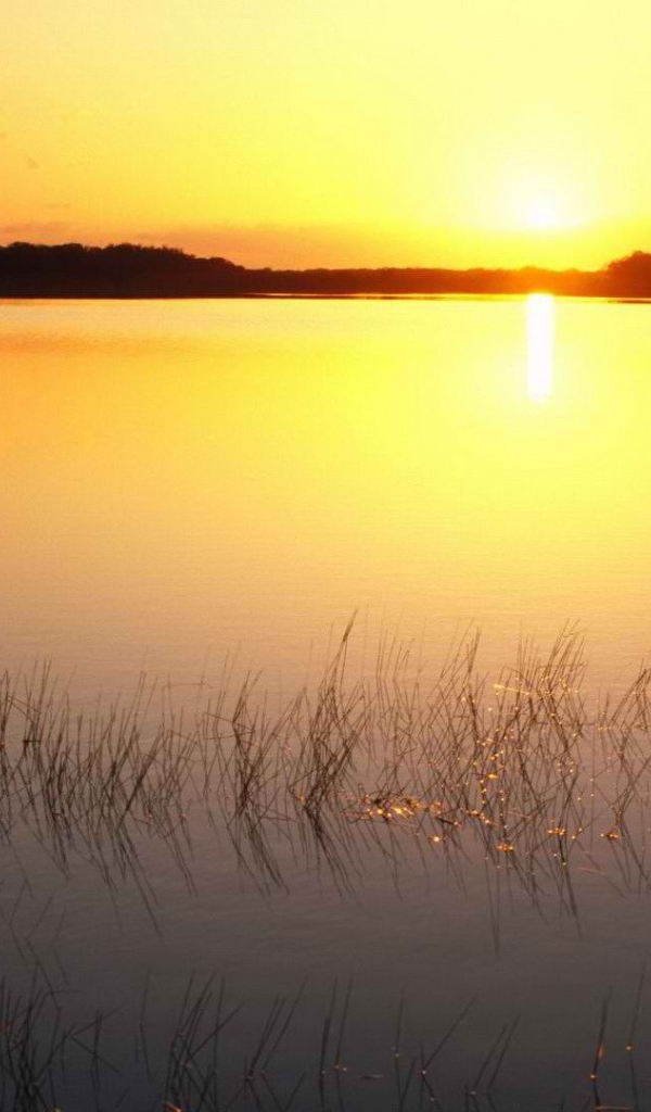 Закат над озером во Флориде