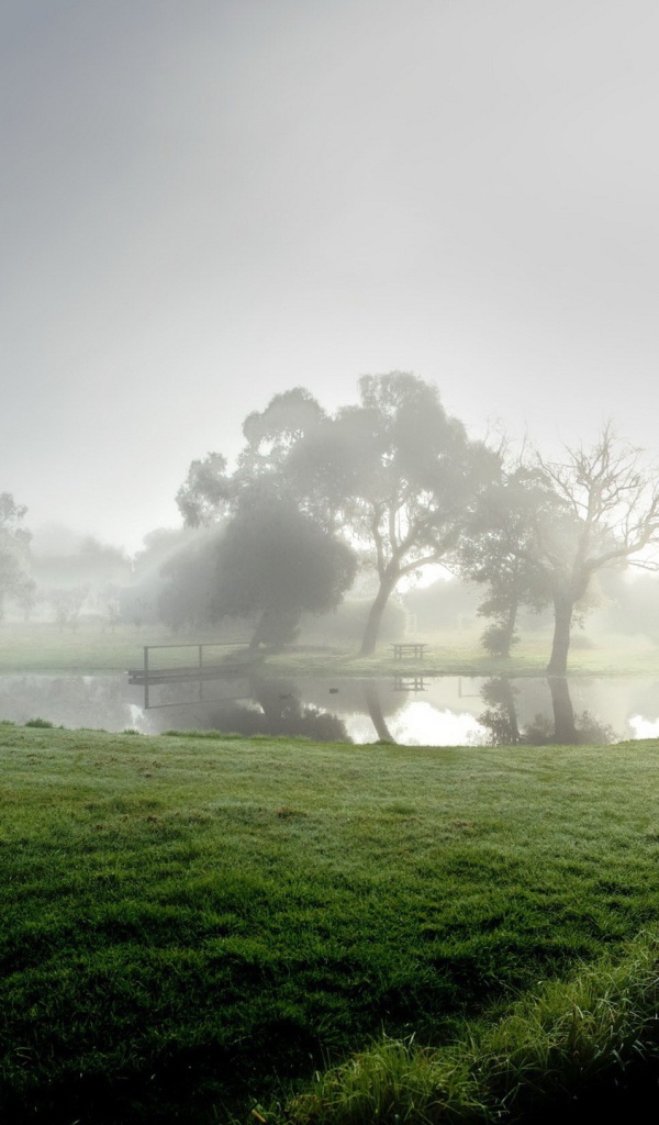 Озеро в тумане