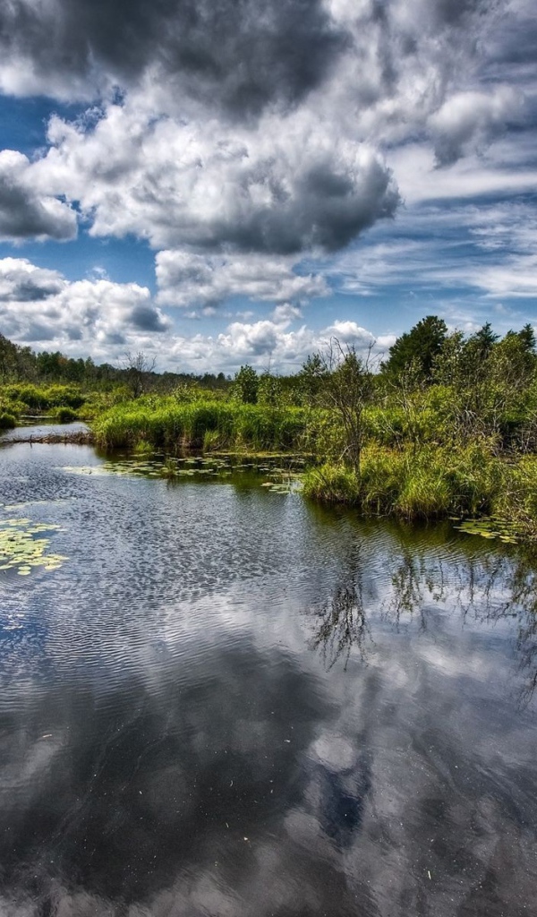 Река превращается в болото
