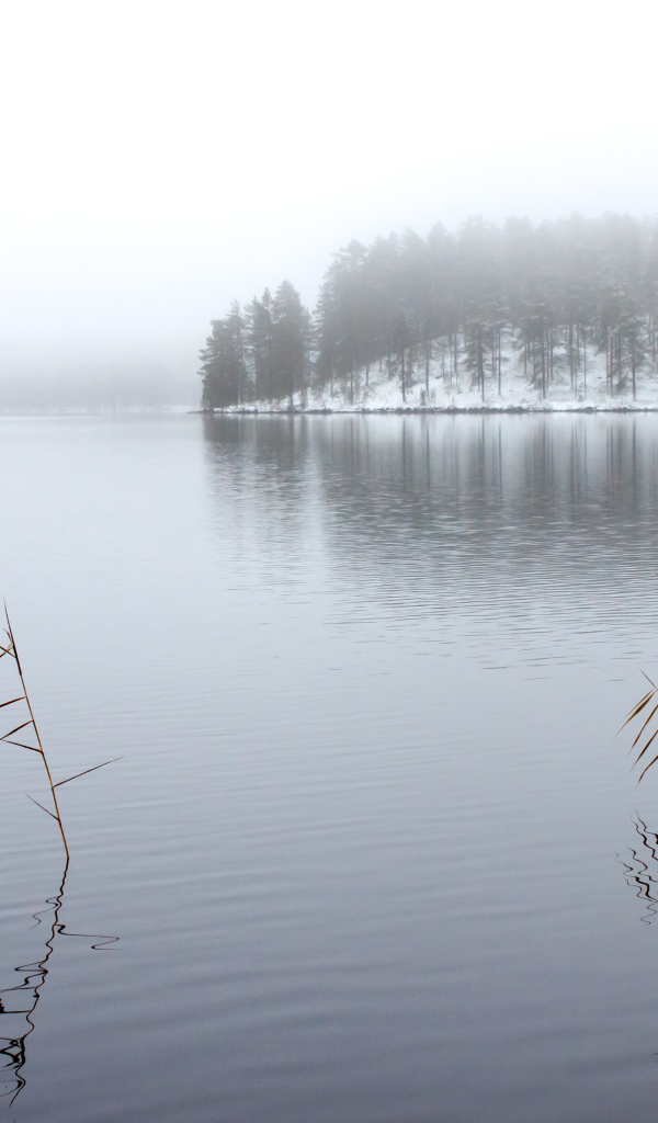 Зимнее озеро в тумане