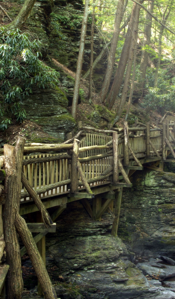 Деревянный мост