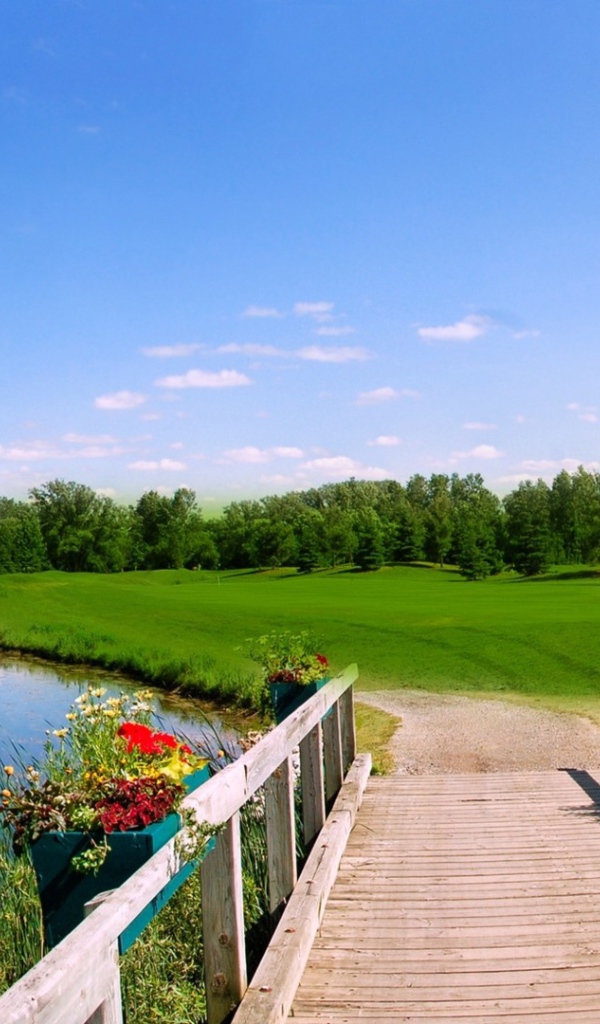 Деревянный мост на озере