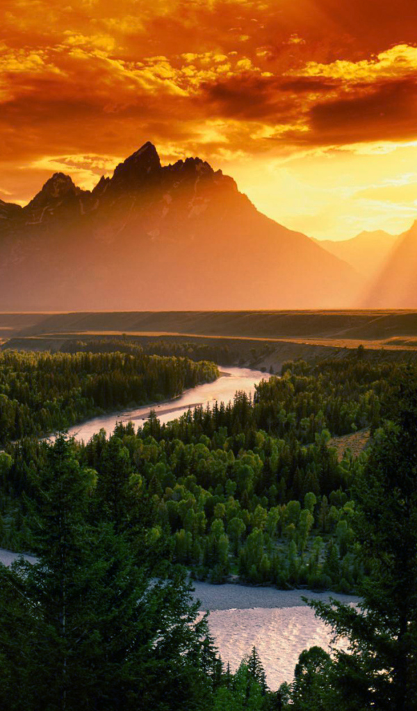 Лес река и горы