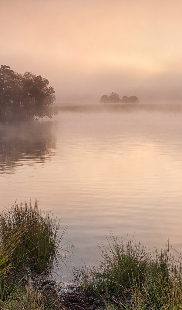 Утро в Англии