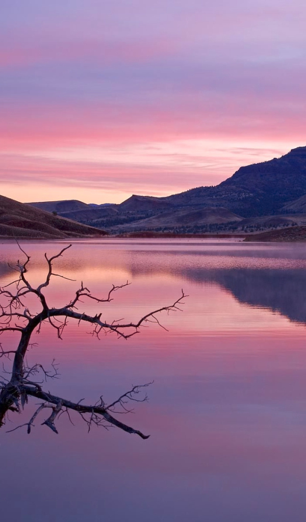 Природа в розовых тонах