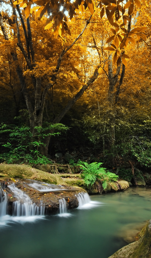 Река в лесу