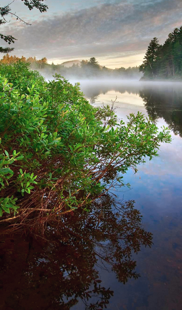 Туман над рекой