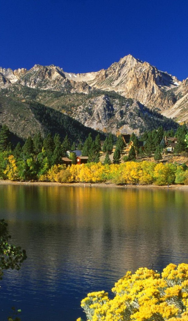 Озеро и деревья