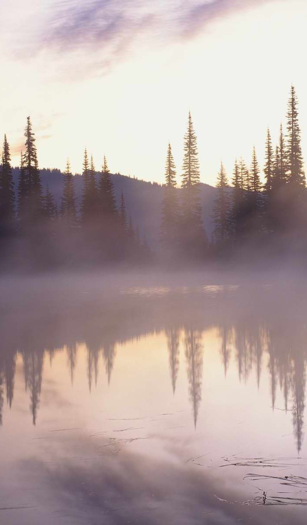 Туман над озером