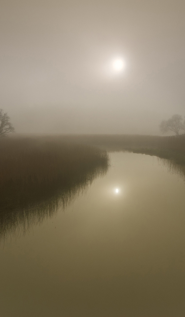 Солнце светит сквозь туман