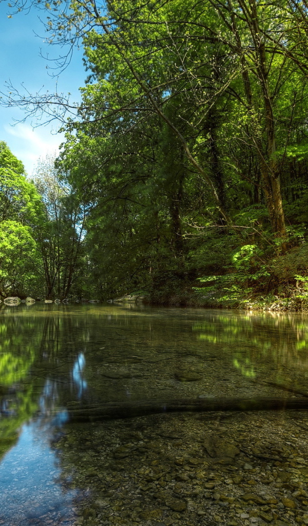 Прозрачная река