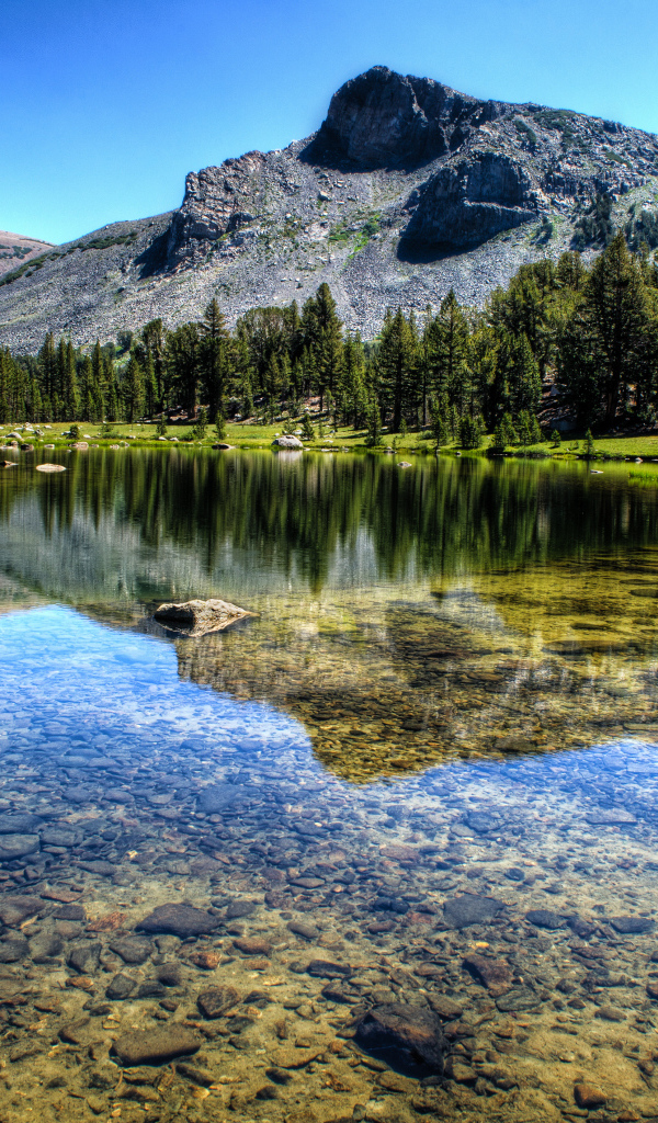 Прозрачная река