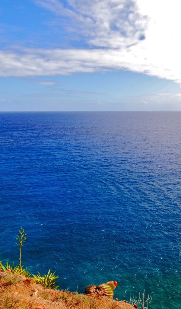 Одиночество в море