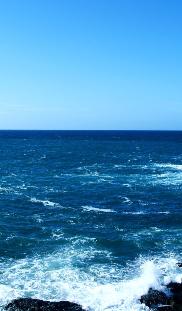 Синее море у черных камней