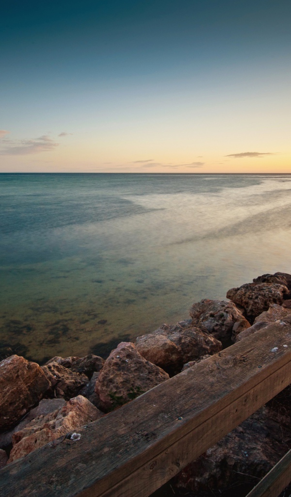 Пляж моллюсков