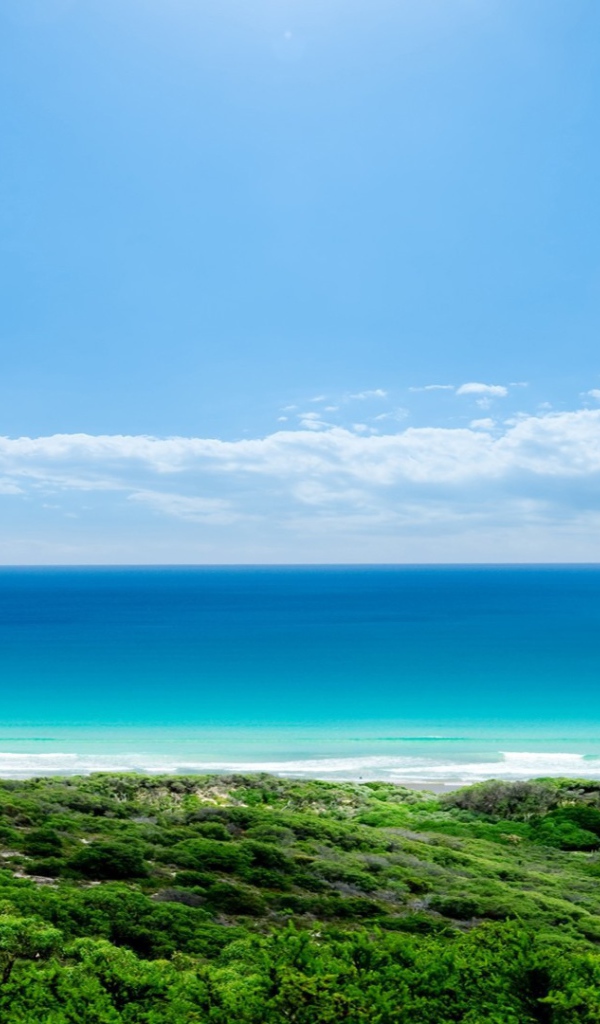 Зеленый берег и голубое море