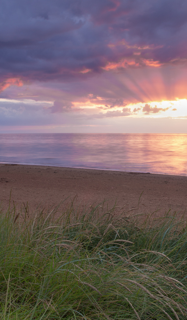 Море и лучи вечернего солнца