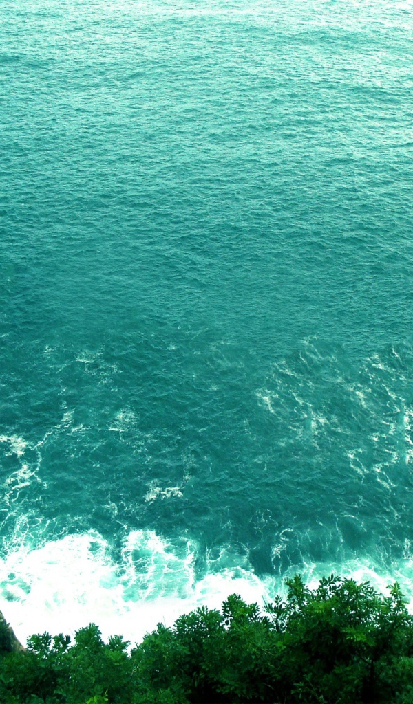 Вид на море