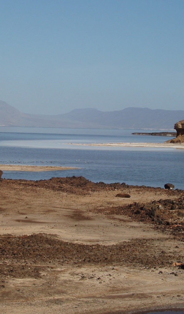 Каменистый берег моря