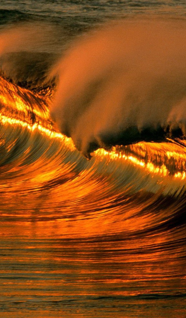 Солнце отражается в волне