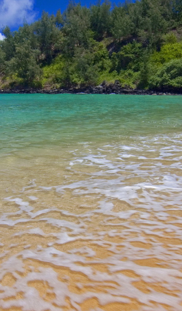 Волны прилива