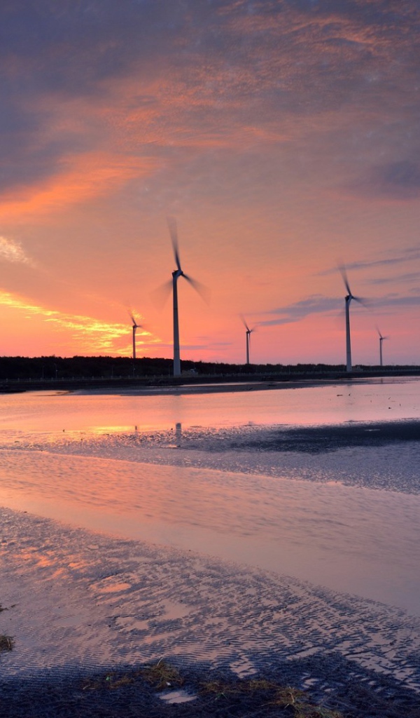 Ветряки на побережье