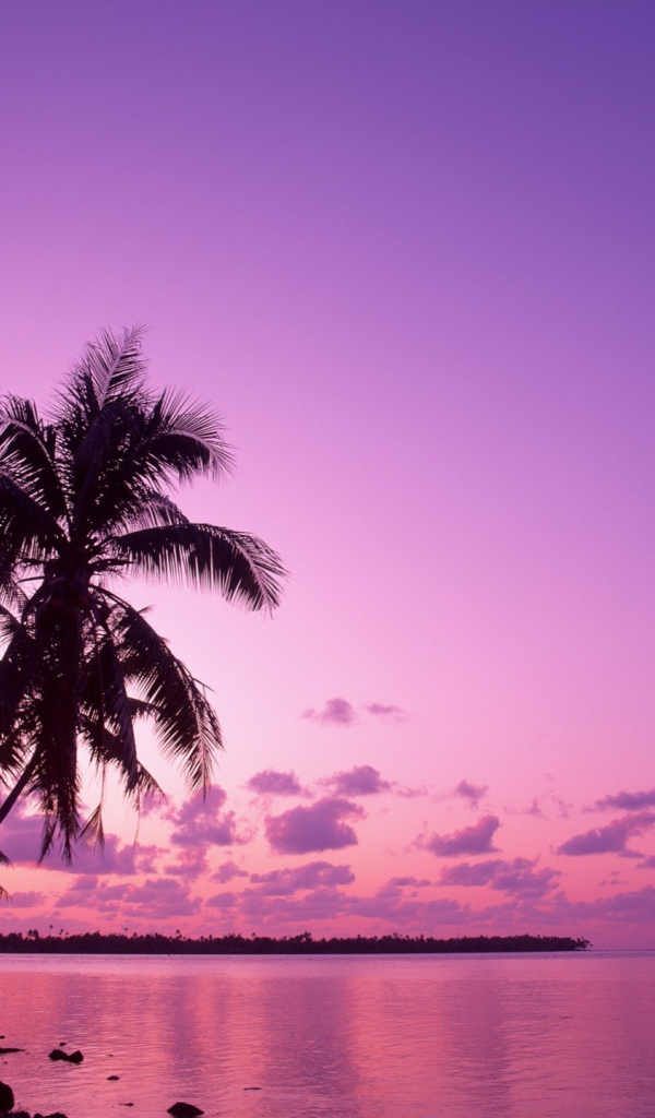 Сиреневый вечер