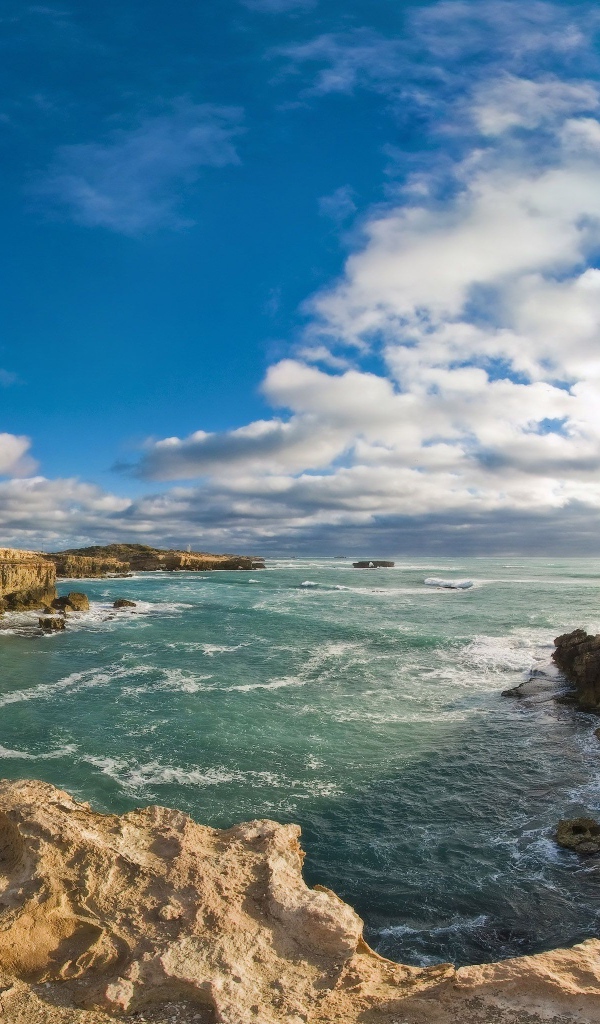 Дикий берег моря