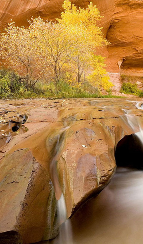 Размытые водой камни