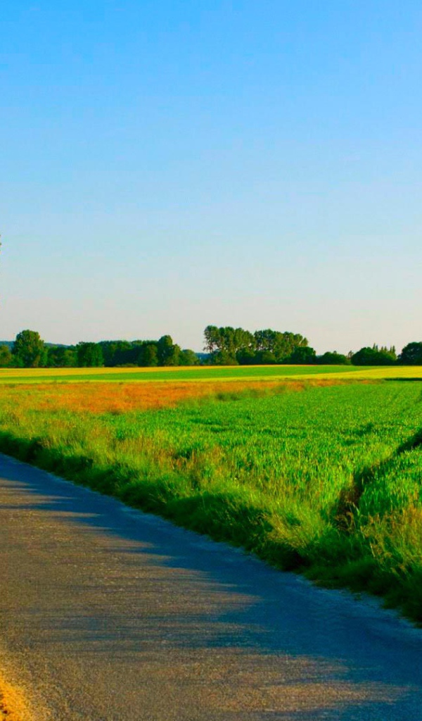 Дорога среди ухоженных летних полей