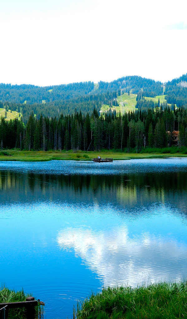 	   Mountain lake in summer